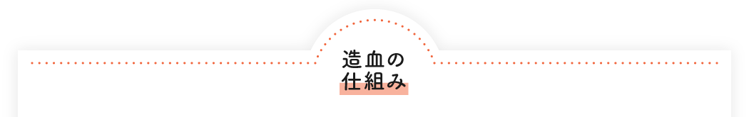 造血の仕組み